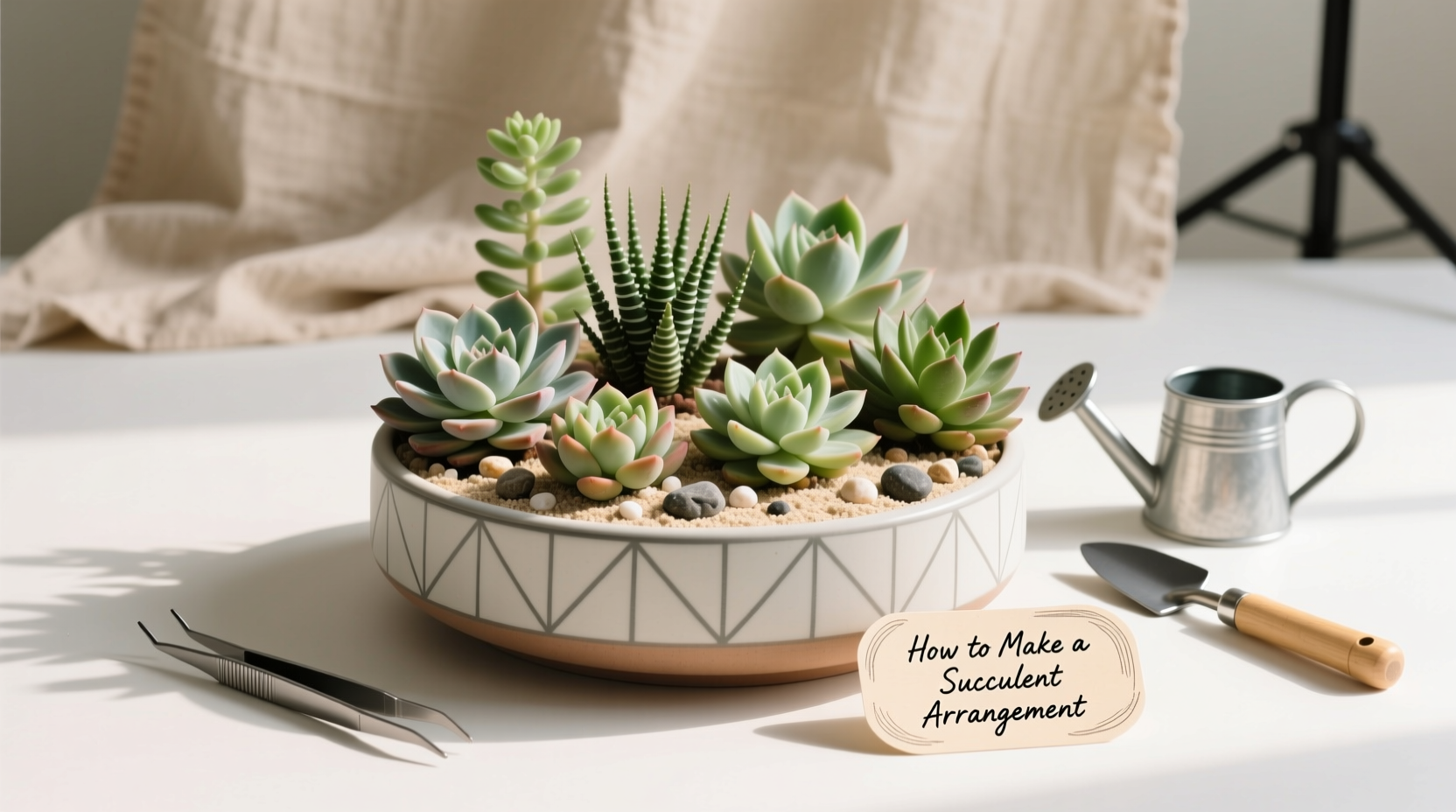 how to make a succulent arrangement