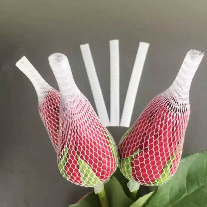 Individual flower bud protection white plastic sleeve net PP mesh