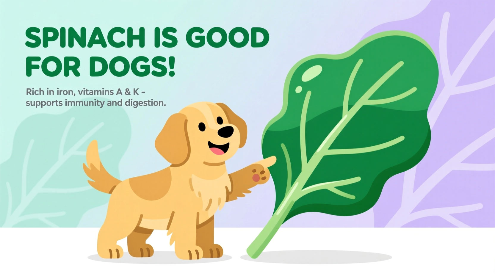 Spinach for Dogs: Benefits, Risks & Safe Feeding Guide
