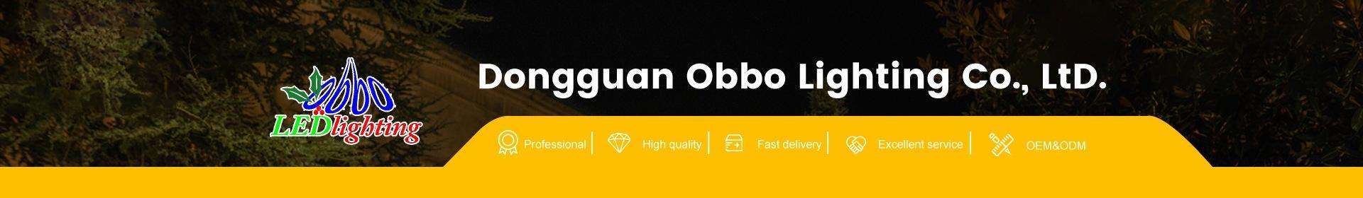 Company Overview - Dongguan Obbo Lighting Co., Ltd.