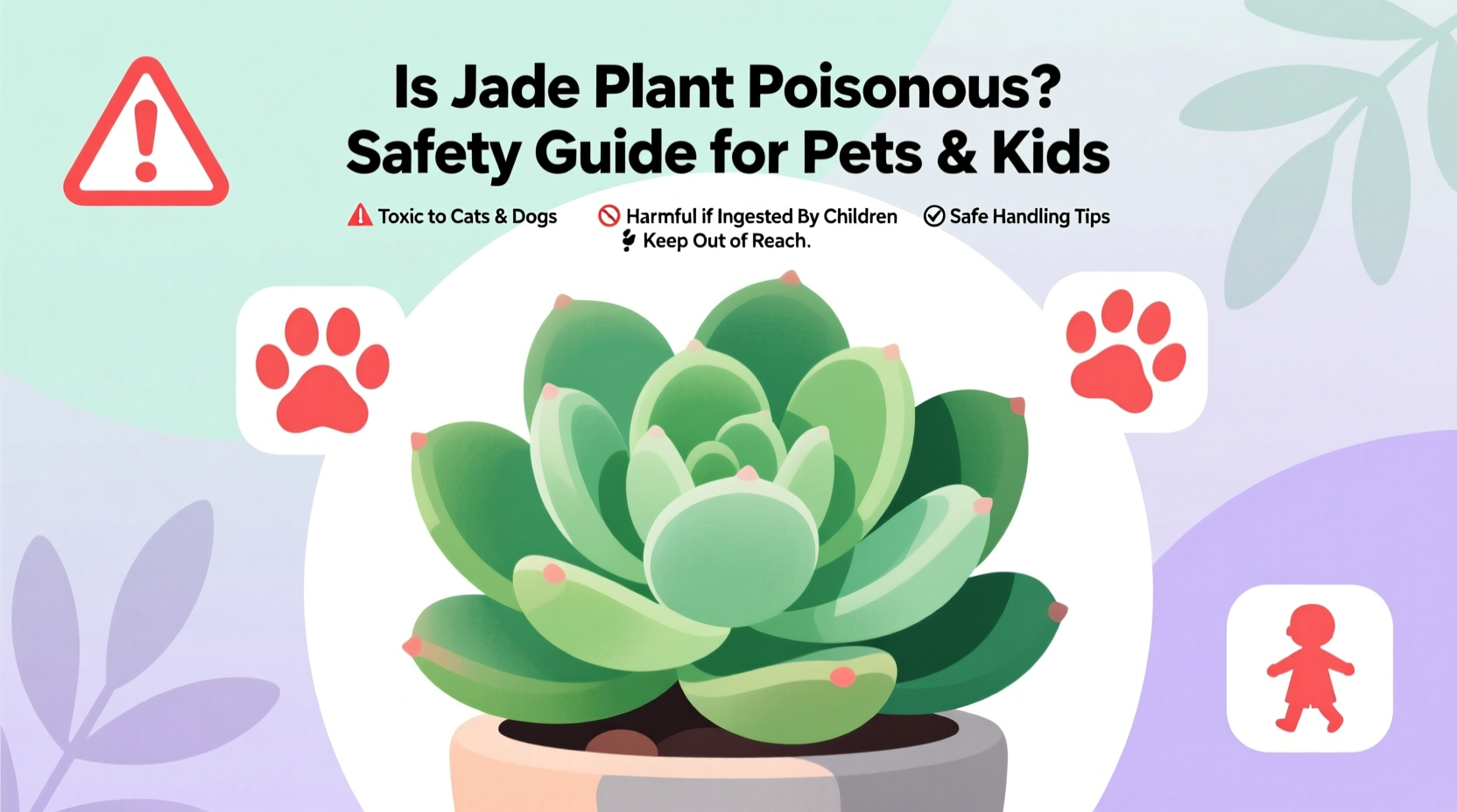 Is Jade Plant Poisonous? Safety Guide for Pets & Kids