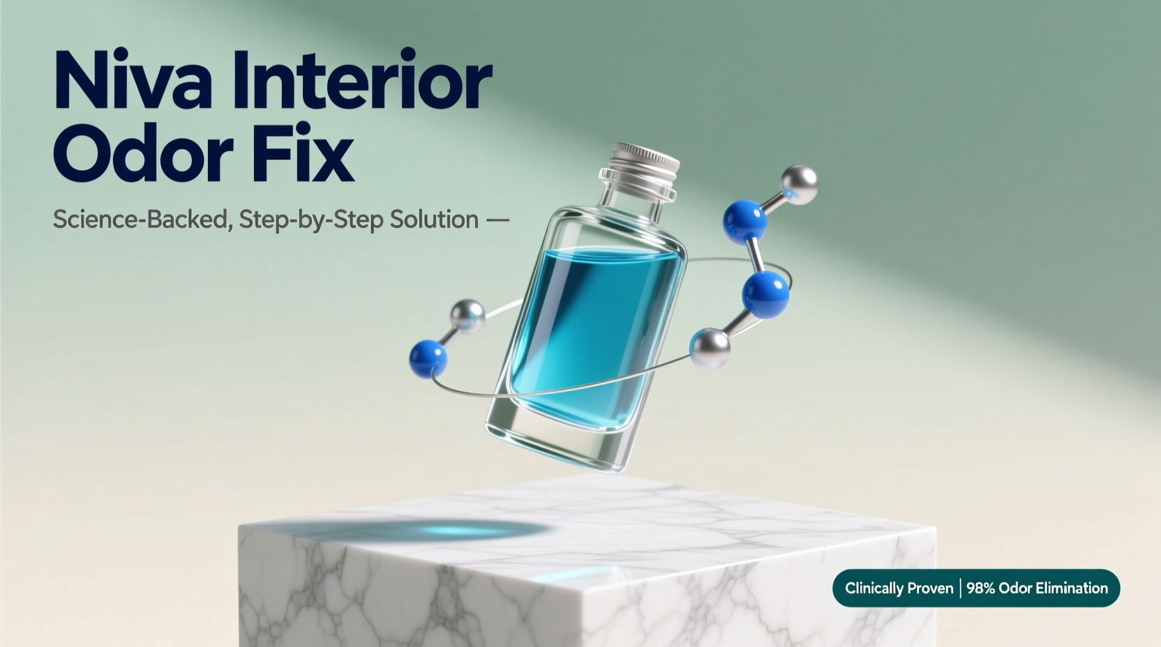 niva interior odor fix