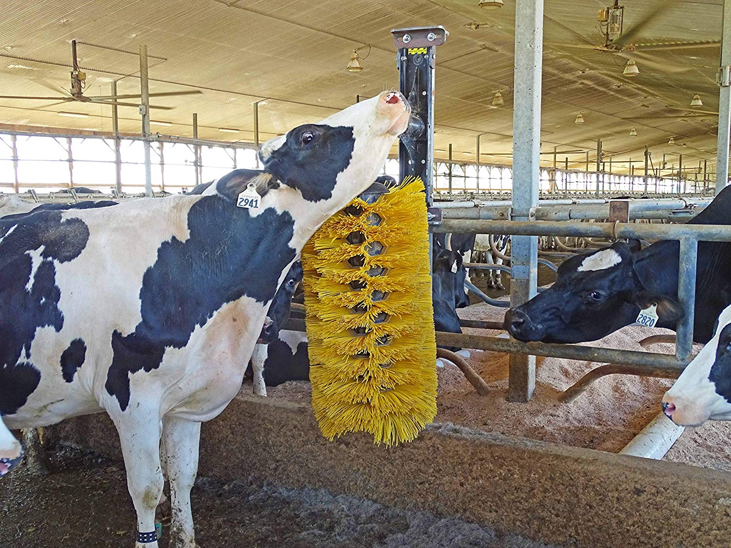 Livestock Grooming Cattle Scratchers Cow Body Brush Nylon Material