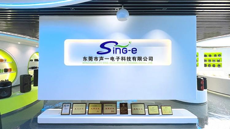 Company Overview - Shenzhen Sing-E Soar Trade Development Co., Ltd.