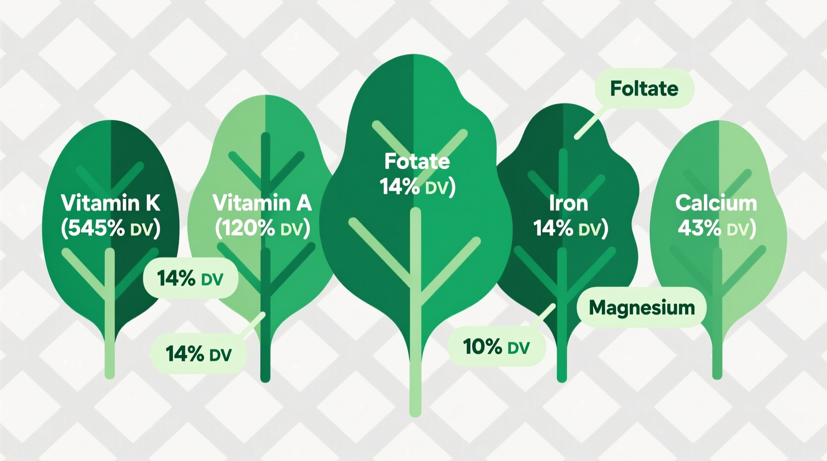 Spinach Nutrients: Complete Breakdown & Health Benefits