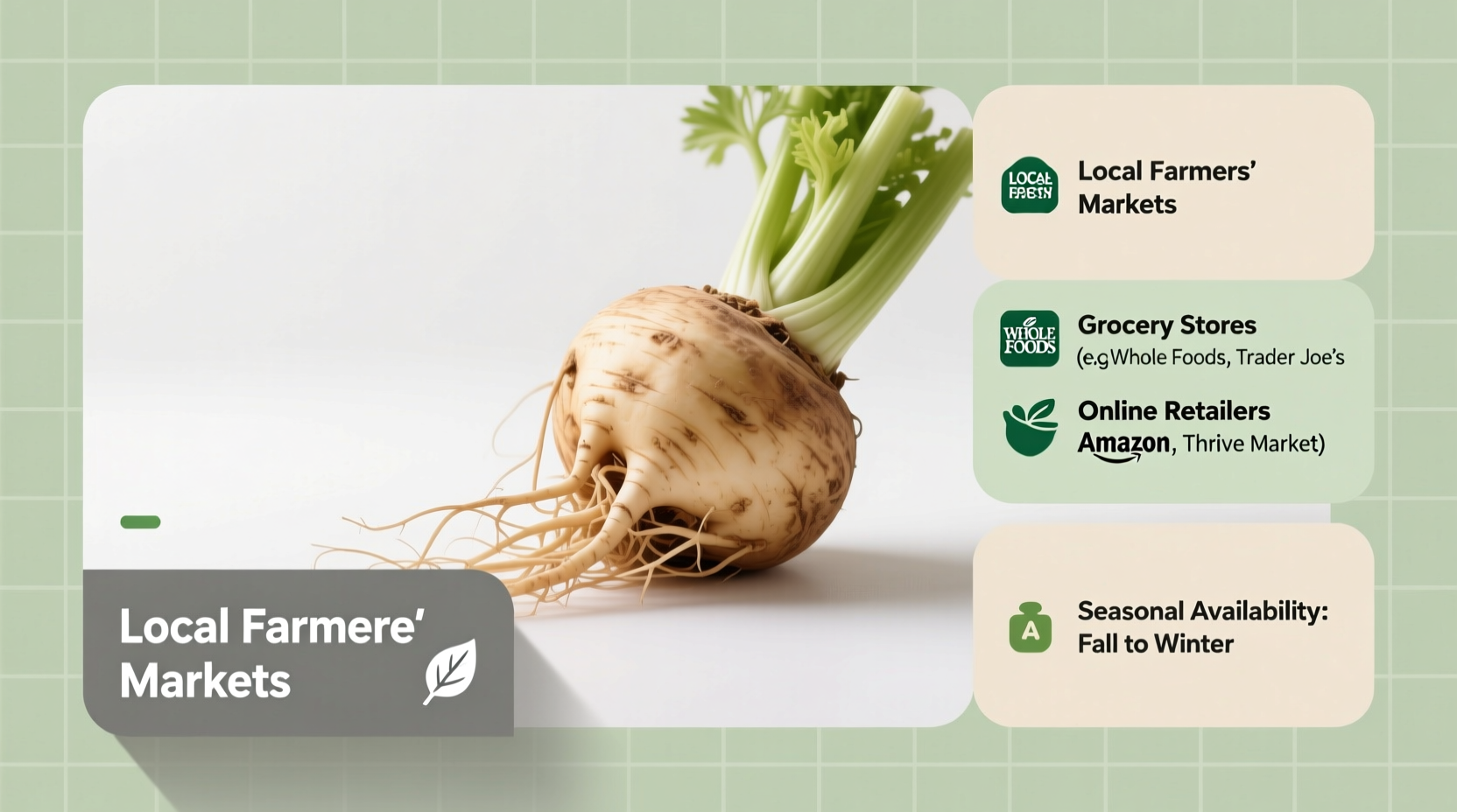 Where to Buy Celery Root: Complete Shopping Guide