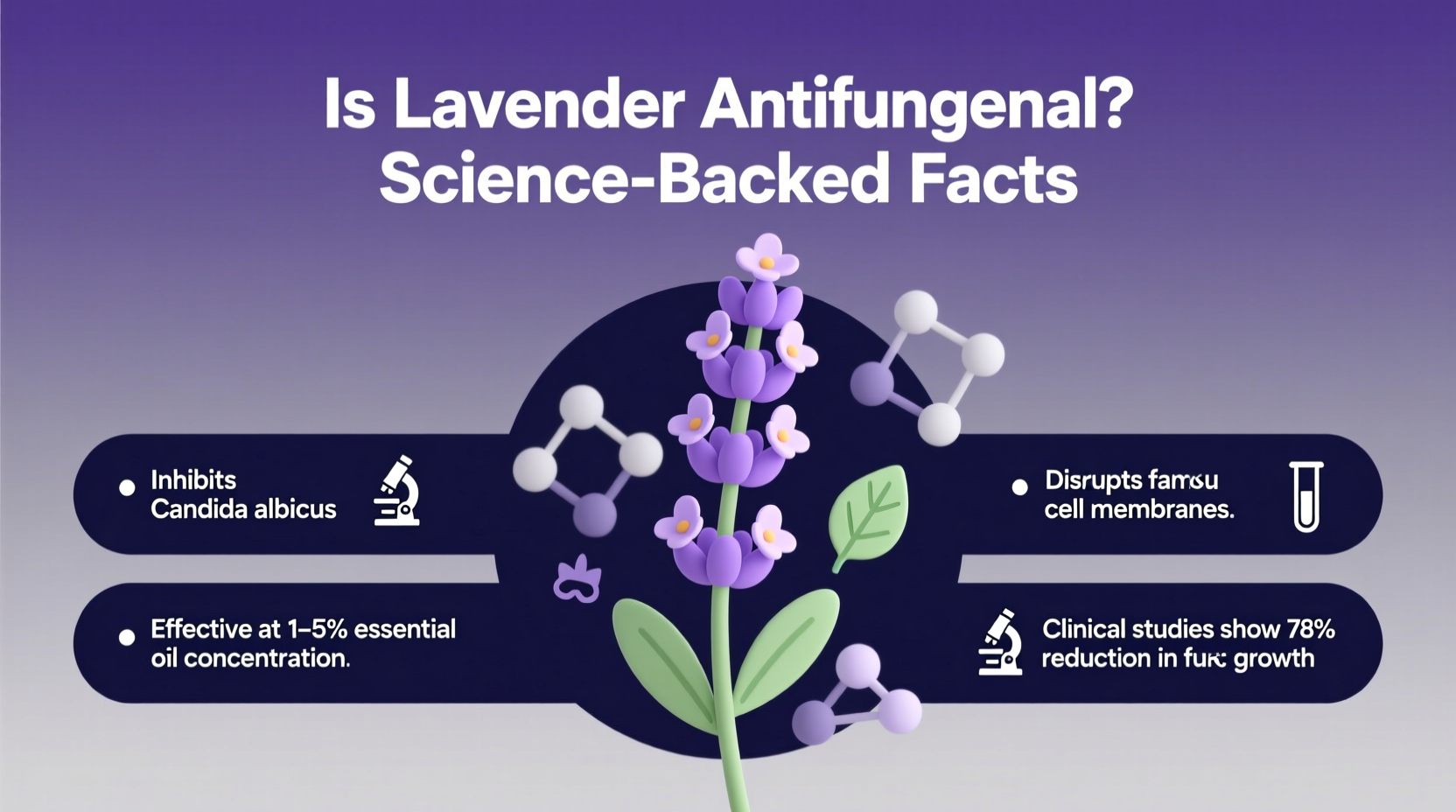 Is Lavender Antifungal? Science-Backed Facts