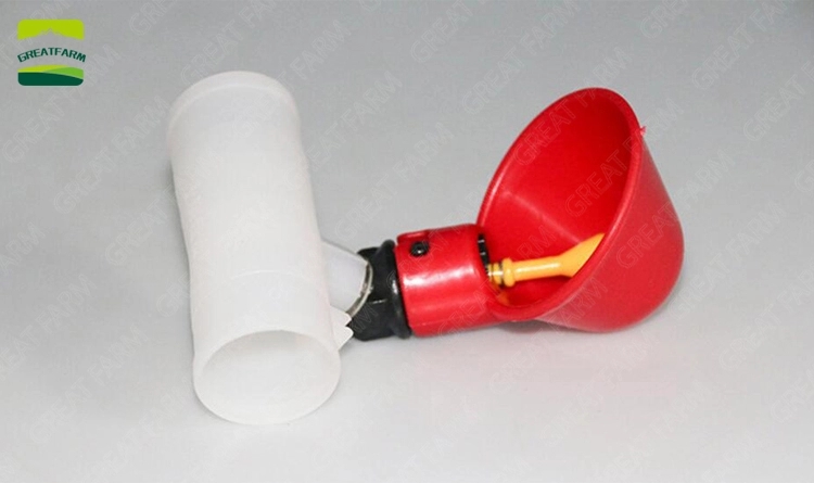 Automatic drinking bowl for chicken Quail automatic drinking water equipment