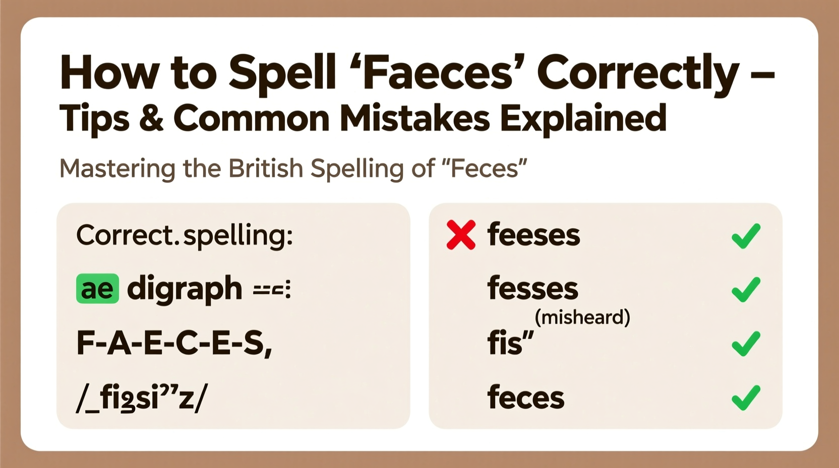 how to spell faeces correctly tips and common mistakes explained