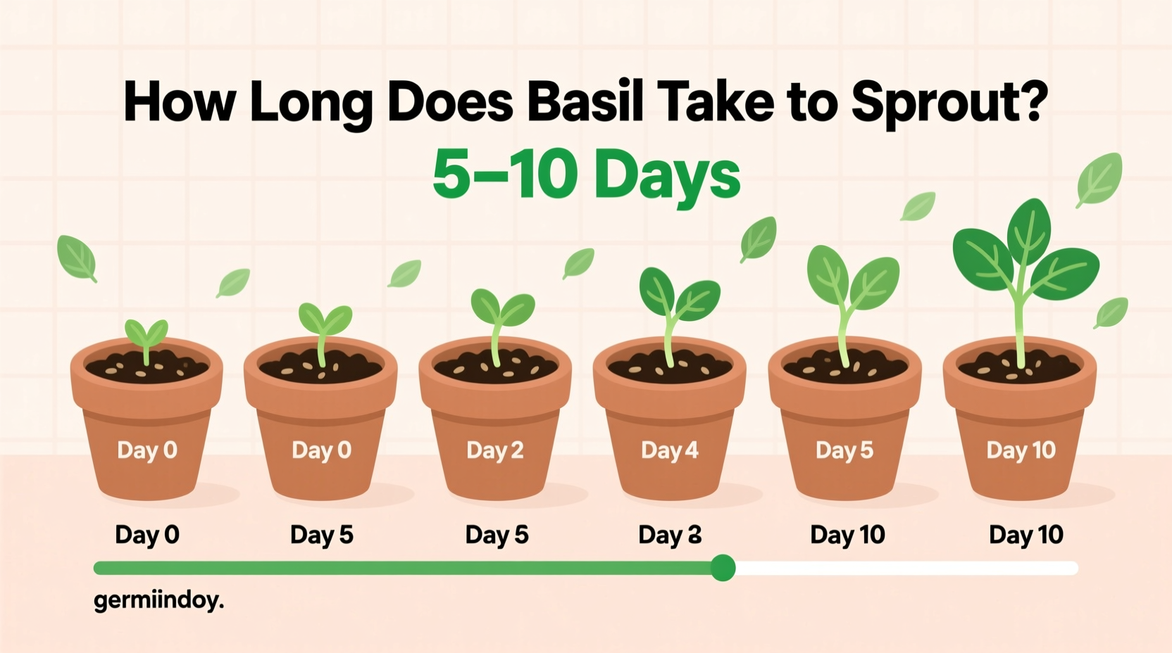 how long does basil take to sprout