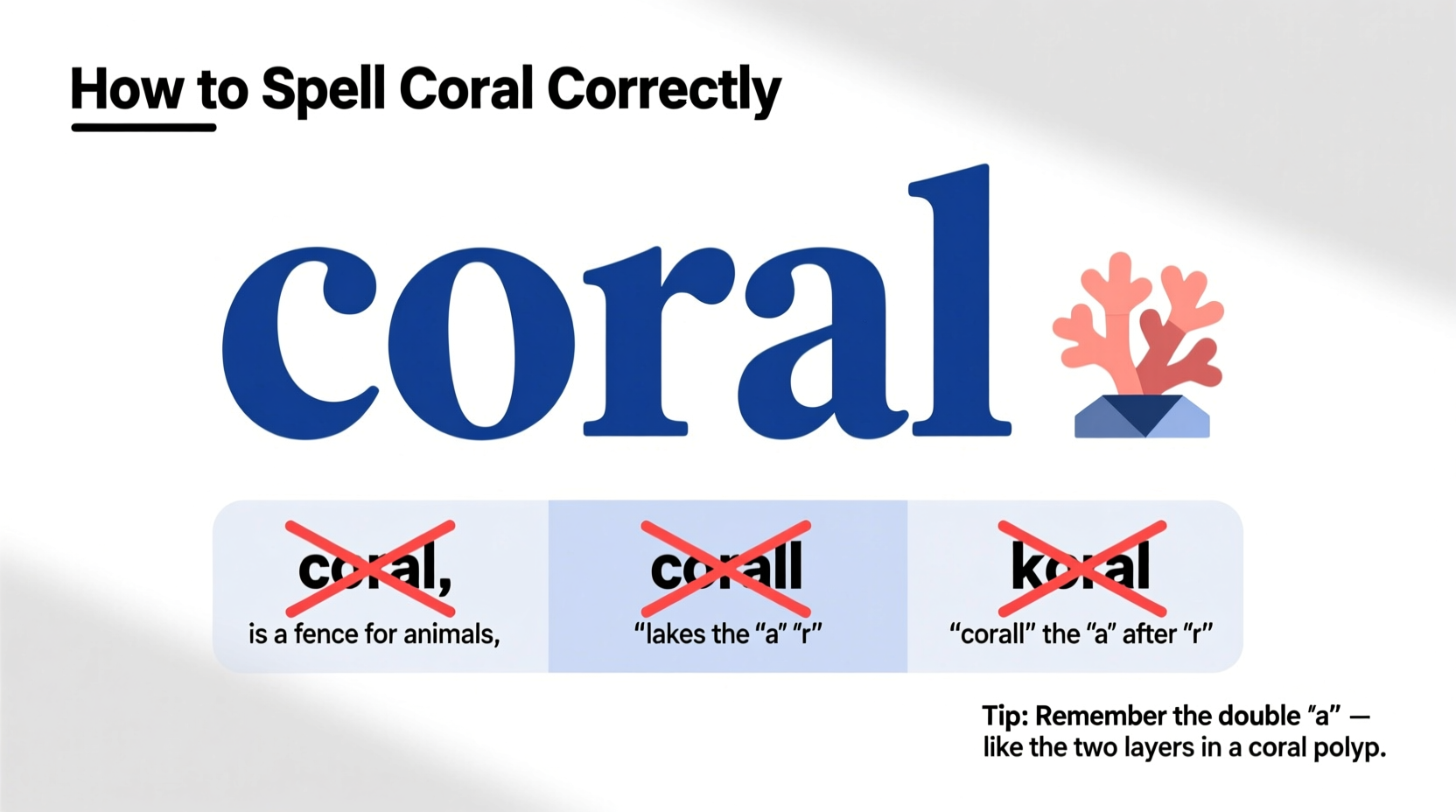 how to spell coral correctly tips to avoid common mistakes and confusions