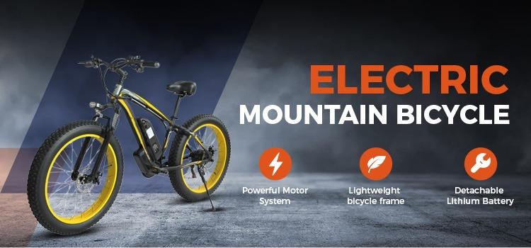 Company Overview - Tianjin Zyx Bicycle Co., Ltd.