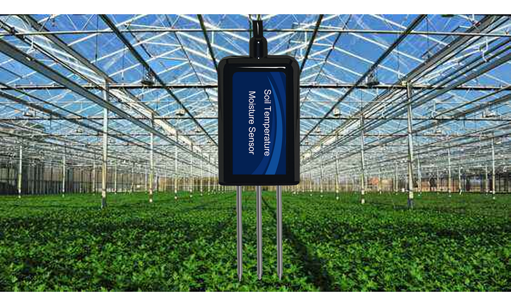 LORA LORAWAN 2 IN1 RS485 DIGITAL SIGNAL GPRS AGRICULTURE SOIL MOISTURE