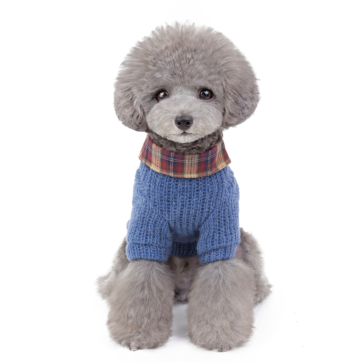 British Campus Style Pet Coat Fashionable Autumn Winter Dog Apparel Pet Accessories Lapel Plaid Dog Sweater