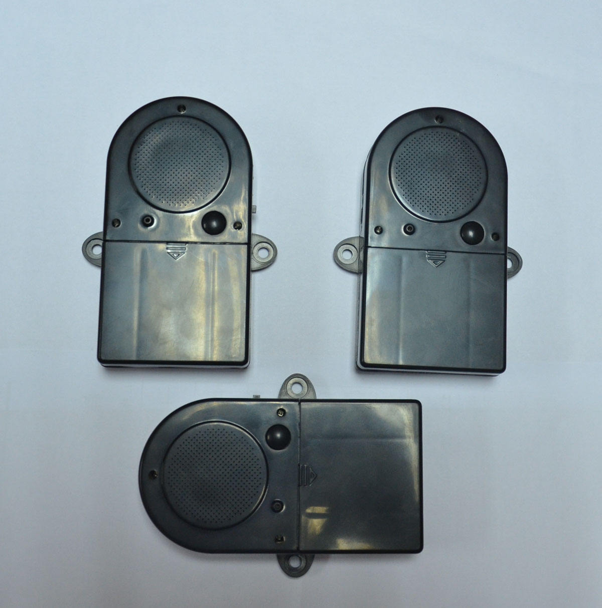 Terror Birds Had Zero Teeth: Here's Why