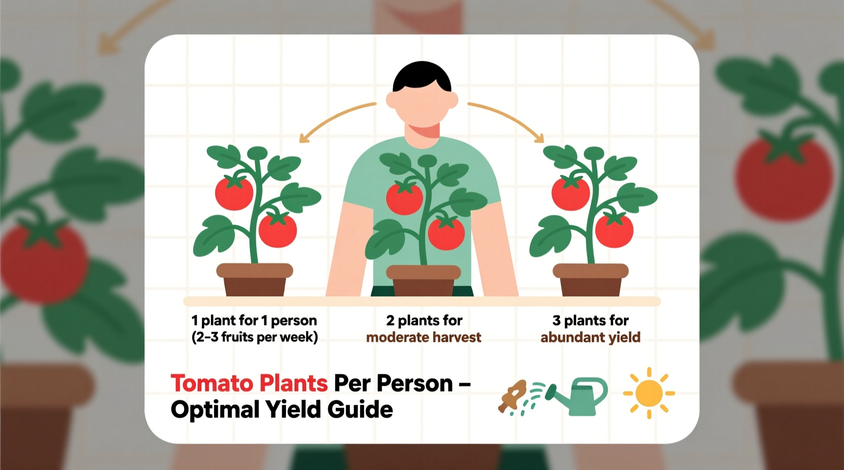 How Many Tomato Plants Per Person: Complete Guide