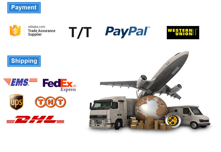 Wholesale Li-ion LiFePO4 IFR14500 batterie 3.2v 6.4V 500mah 600mAh li-ion battery for Electric toothbrush flashlight battery