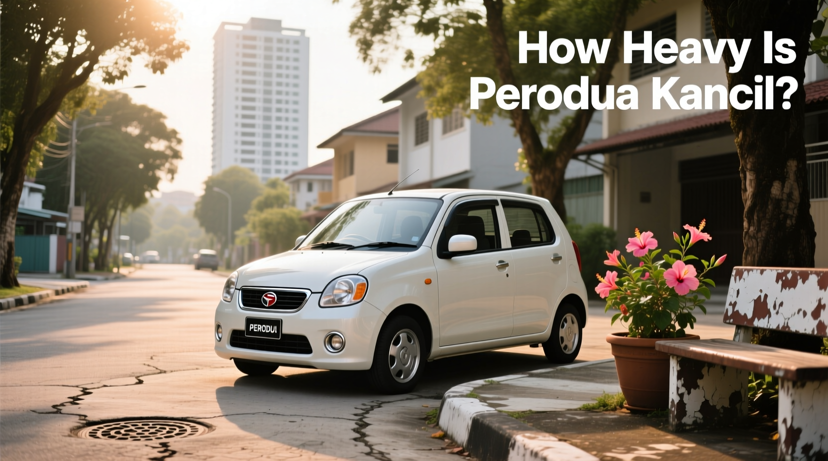 How to Choose Perodua Kancil: Weight, Specs & Buying Guide
