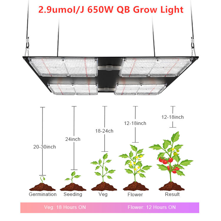 Meijiu Lighting Grow Kit, QB648 Samsung Lm301h Board Best Selling
