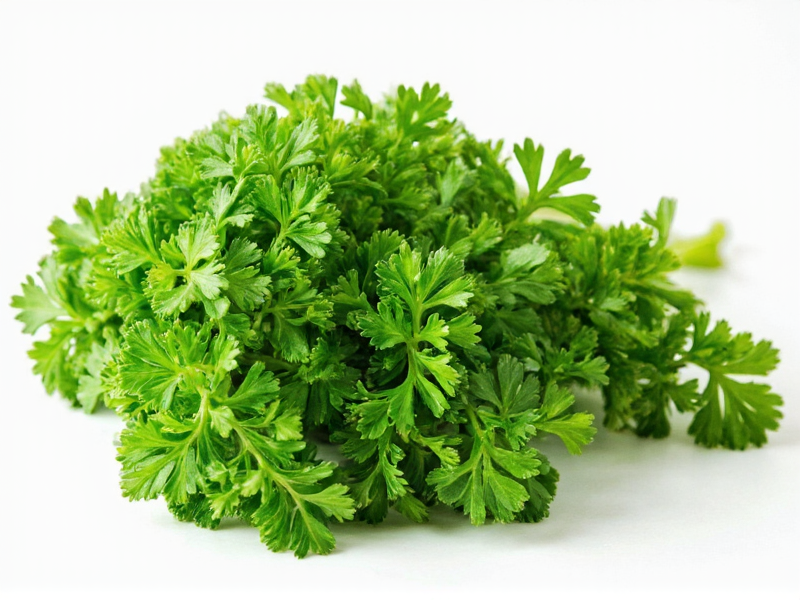 parsley spanish
