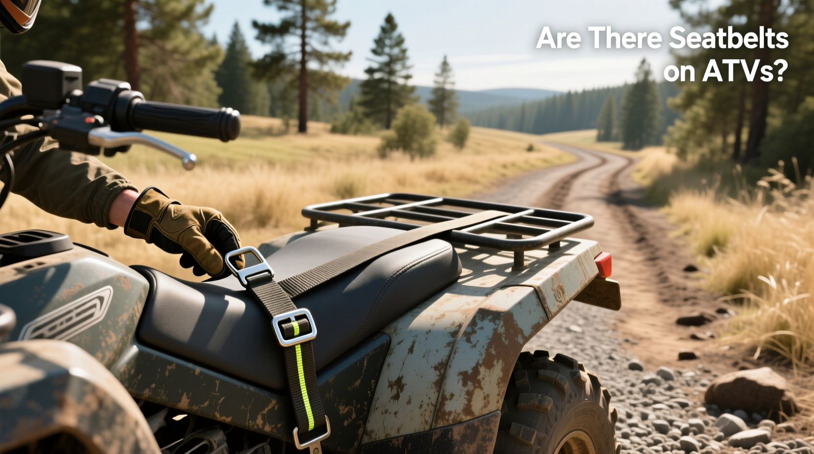How to Choose ATV Seat Belt, Are There Seatbelts on ATVs?