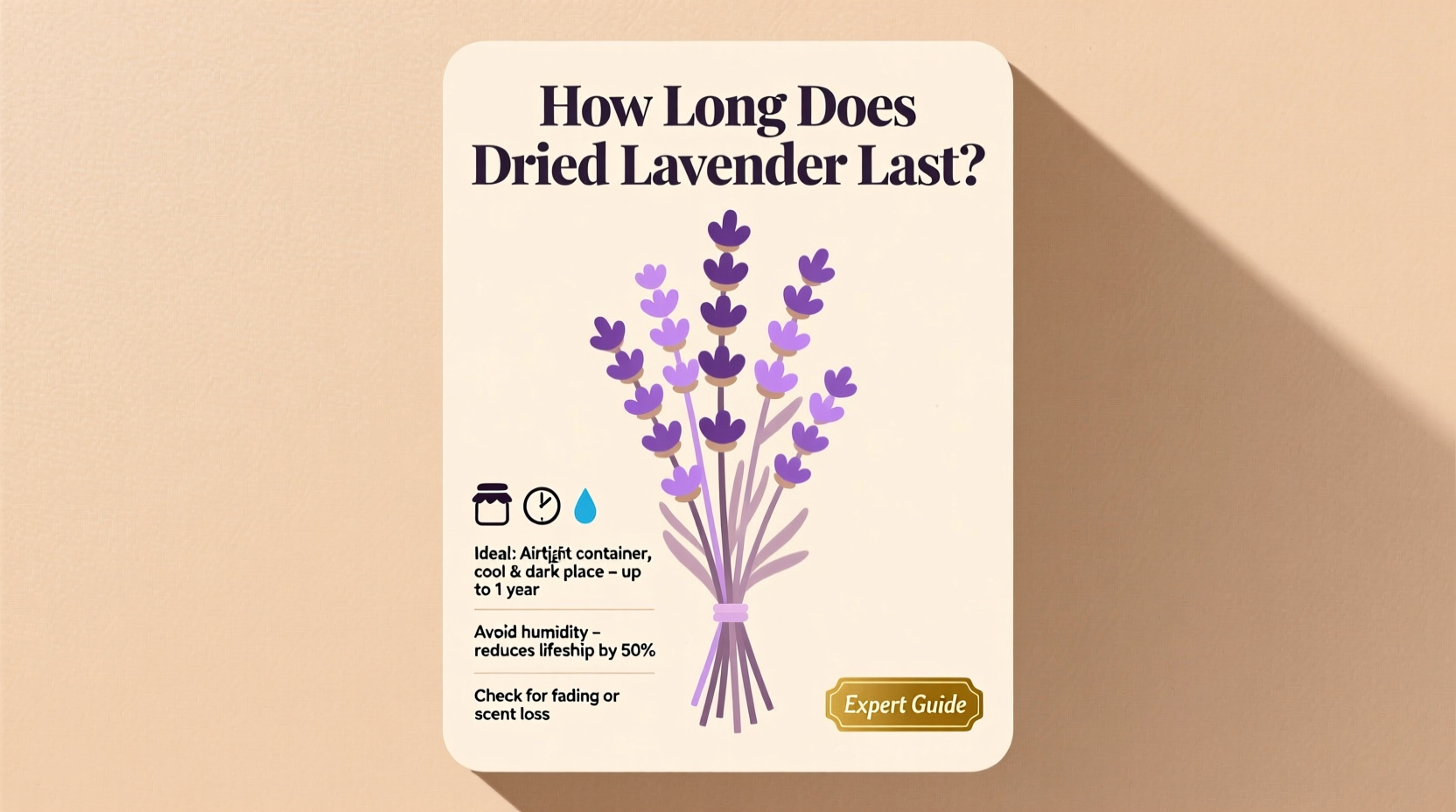 how long does dried lavender last