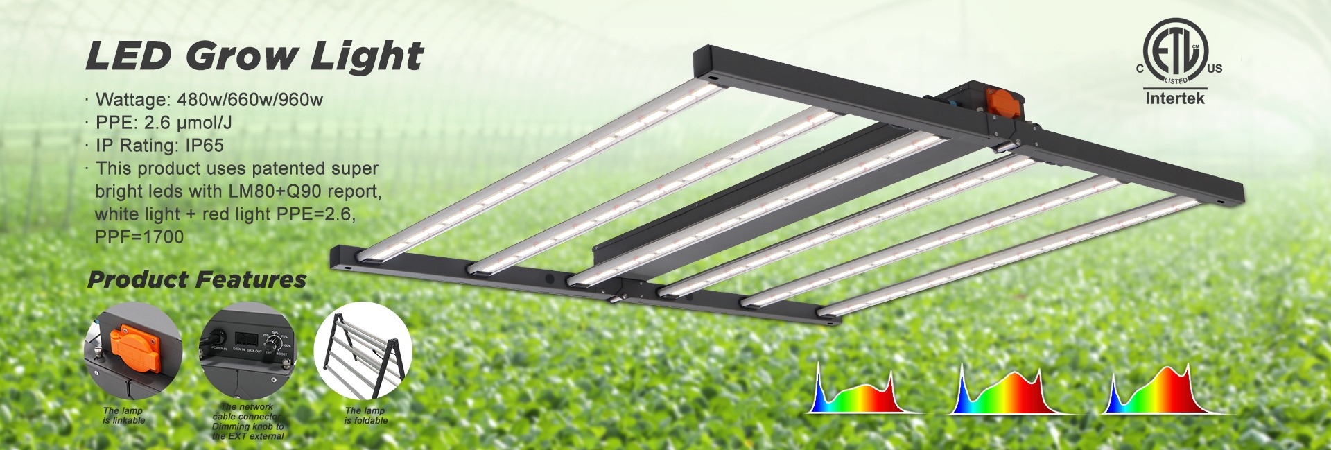 Company Overview Shenzhen Snc Opto Electronic Co., Ltd.