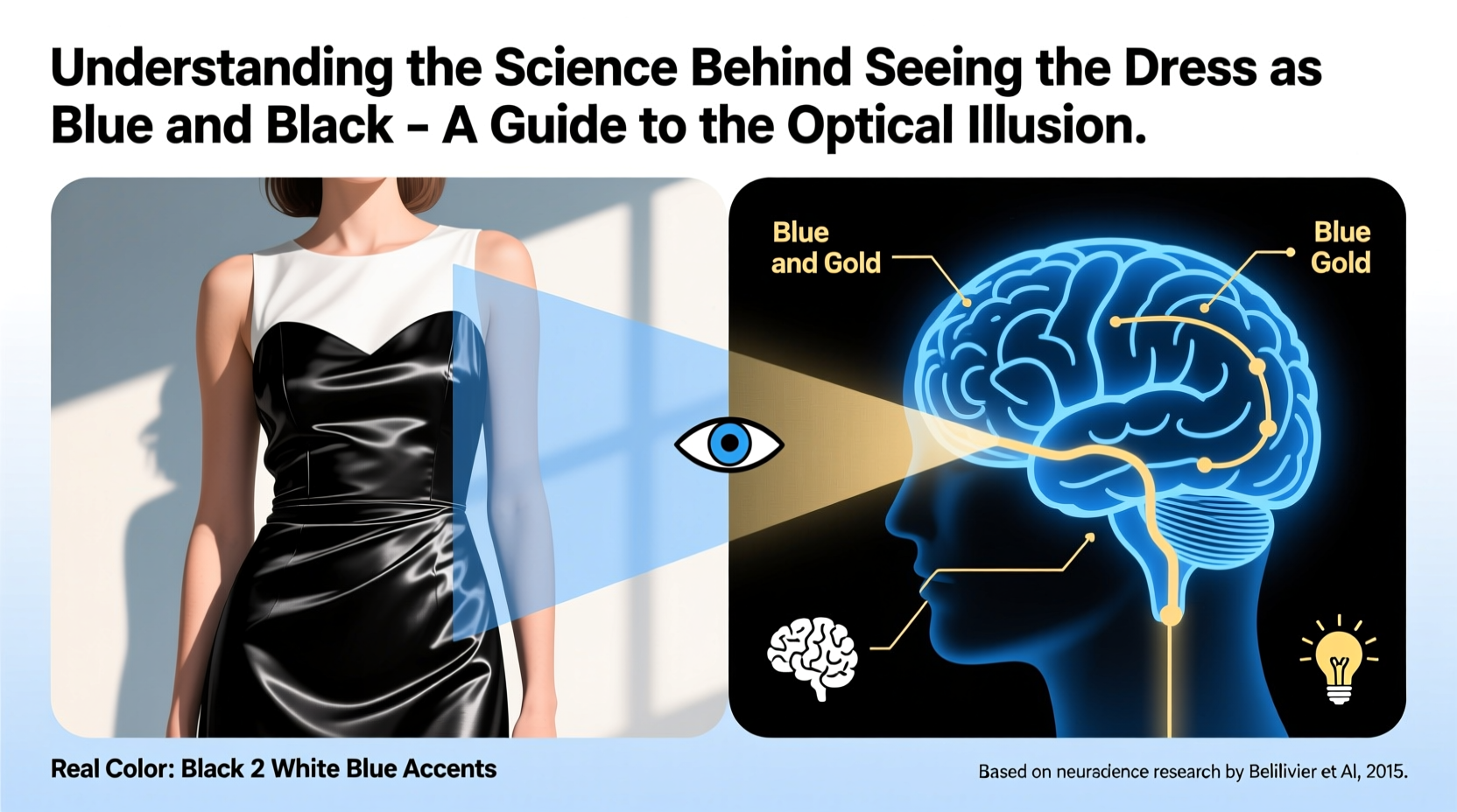 understanding the science behind seeing the dress as blue and black a guide to the optical illusion
