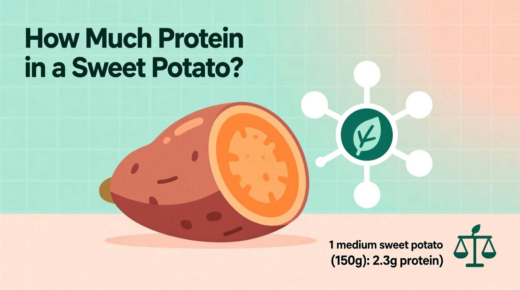 Sweet Potato Protein Content: 2g Per Medium Serving