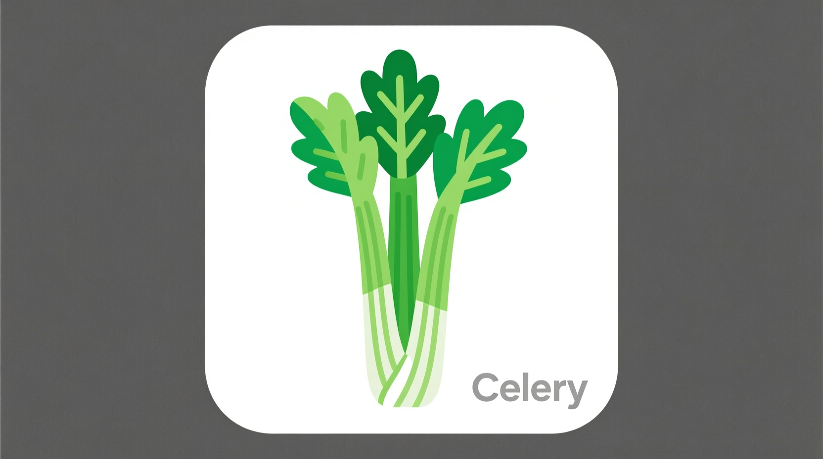 Fresh green celery stalk clipart illustration