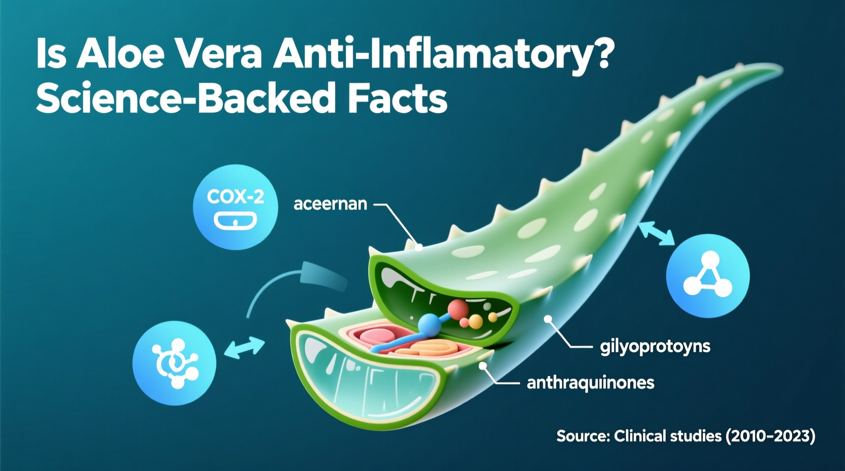 Is Aloe Vera Anti-Inflammatory? Science-Backed Facts