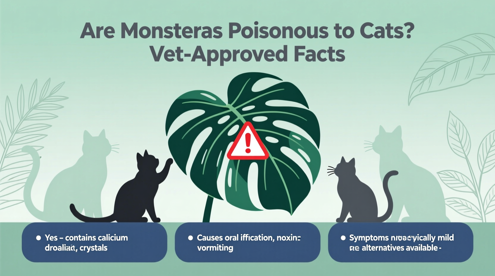 are monsteras poisonous to cats