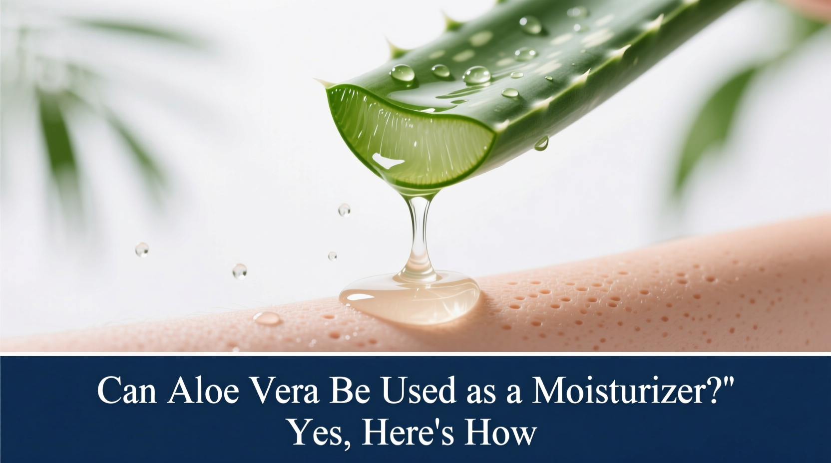 can aloe vera be used as moisturizer