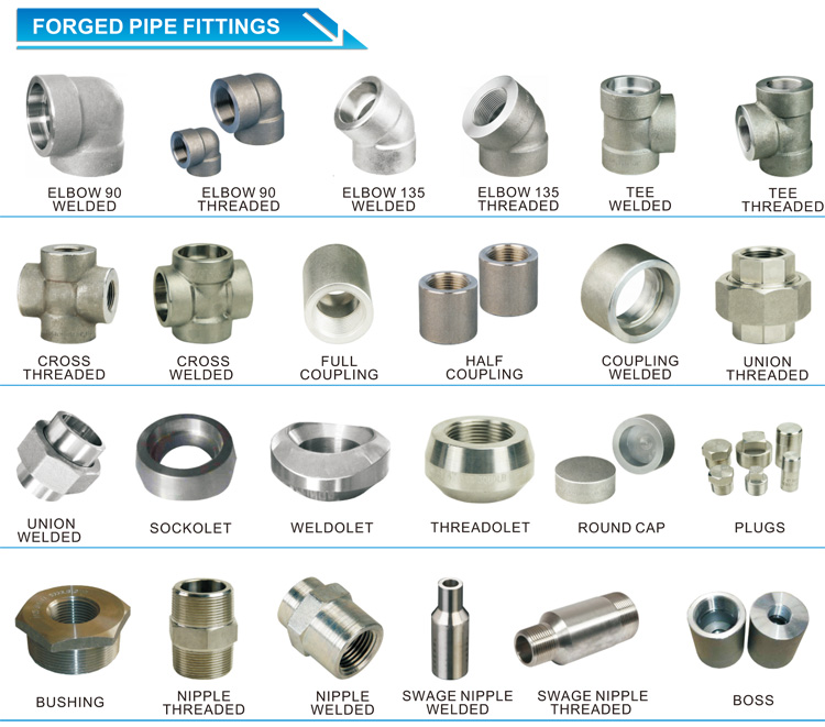 ASTM A105 Forged Steel Threaded Hex Head Plug