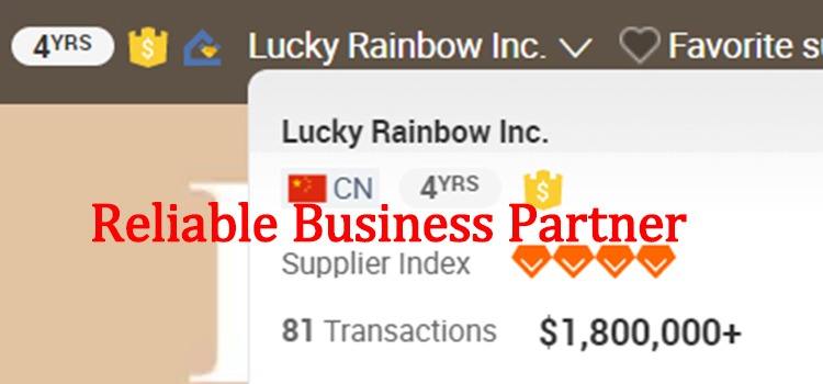 Company Overview - Lucky Rainbow Inc.