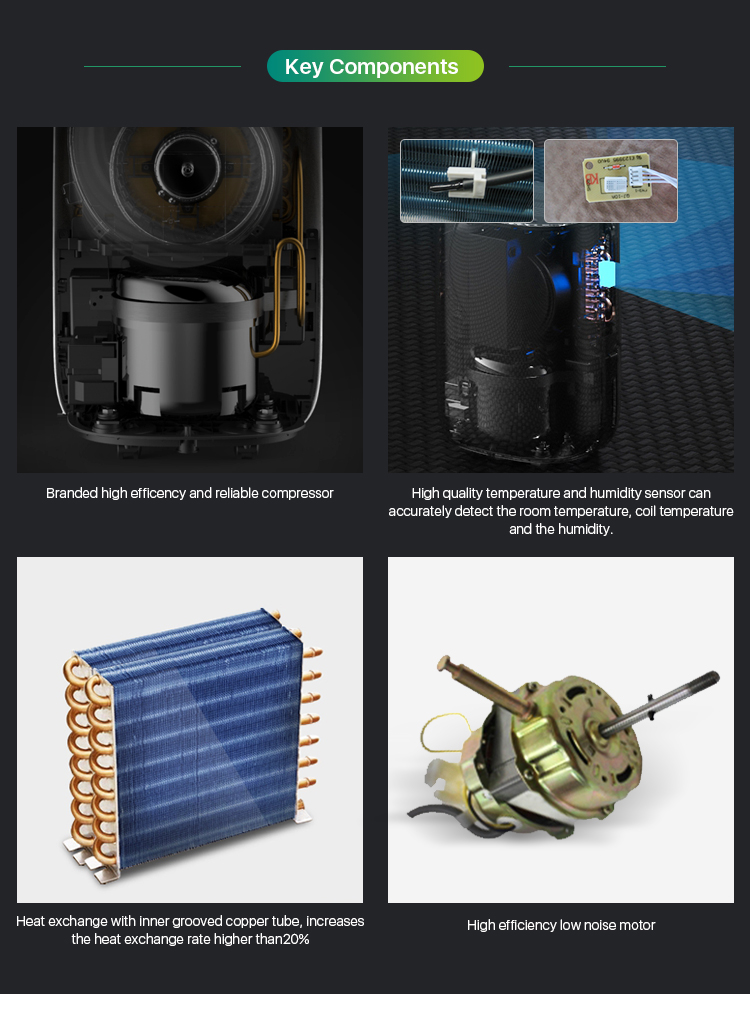 2021 Trending New Arrivals R290 Dehumidifier Customized logo Home air Portable 10L Per Day Basement Small Dehumidifier