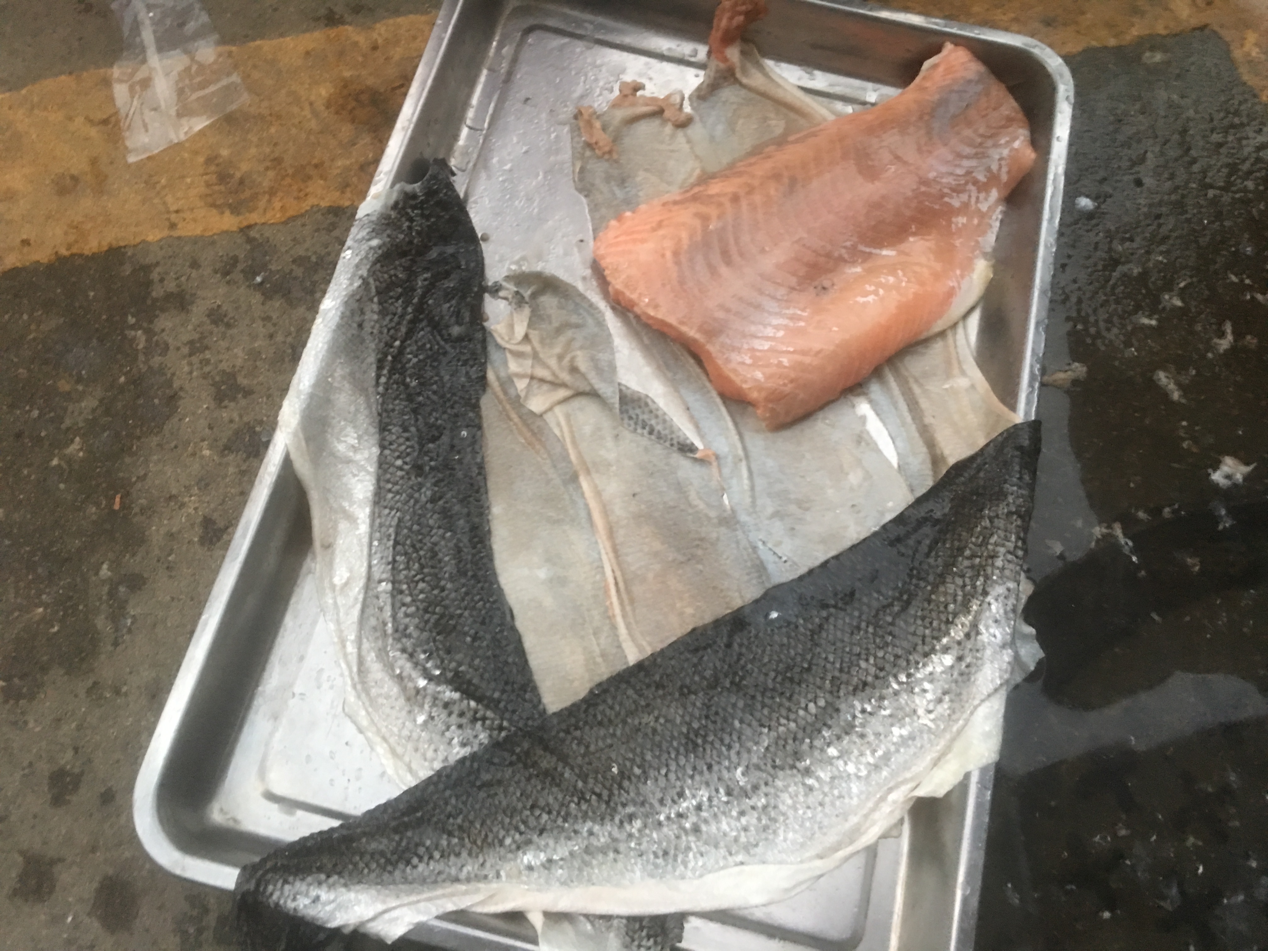 Large type fish peeling machine Salmon squid remove skin  peeler machine