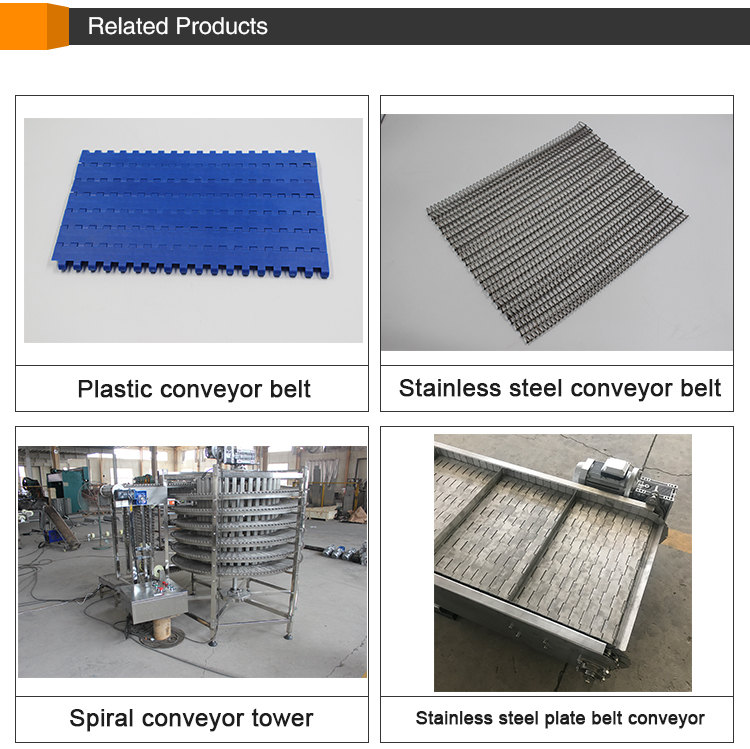 Electrolytic 304 Ss Wire Mesh Conveyor Belt Horseshoe Metal Conveyor Belt Mesh