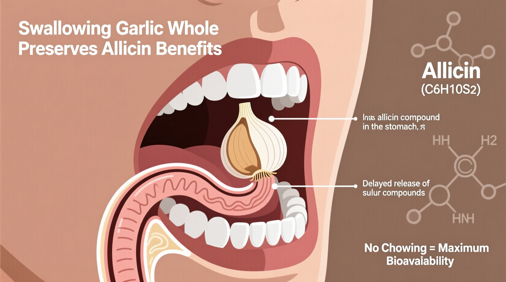 Swallowing Garlic Whole: Benefits and Scientific Reality