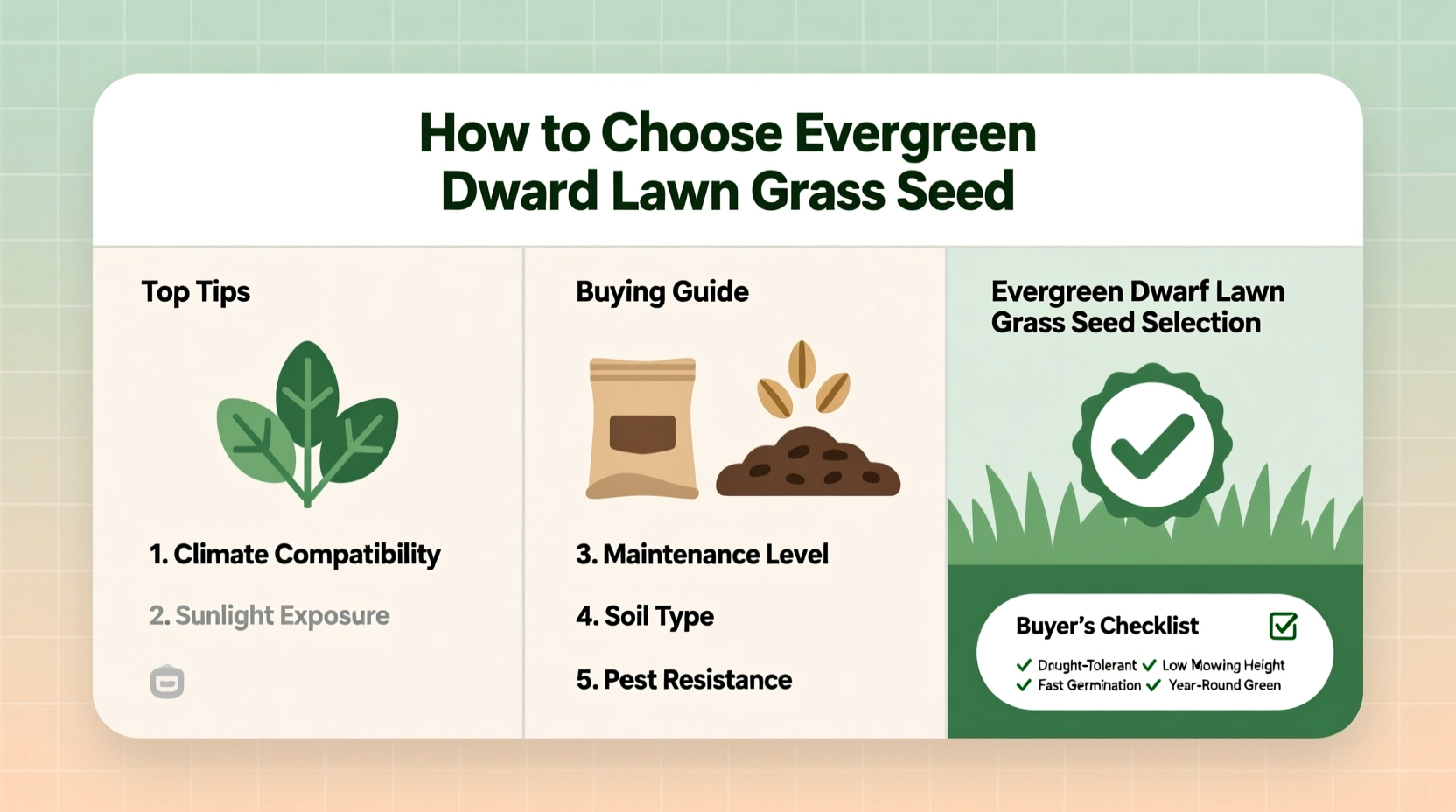 How to Choose the Right Aerator for Sandy Soil: Expert Tips