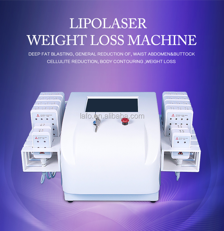 CE Approved Best Dual Wavelength Lipo Cold Laser 650nm 980nm Lipo Laser Lipolaser Machines for Sale LF-318