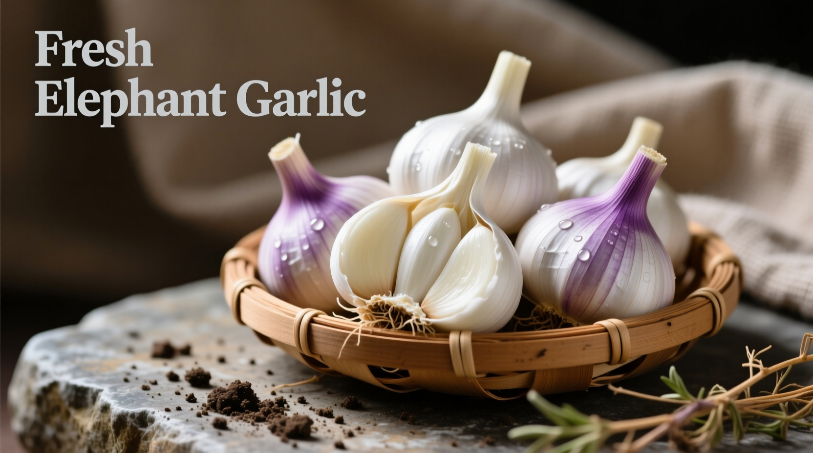 Fresh elephant garlic bulbs with peeled cloves