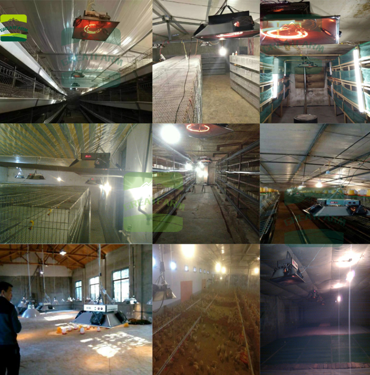 Chick brooder warmer Chick brooding umbrella Duck and goose automatic breeding and heating equipment