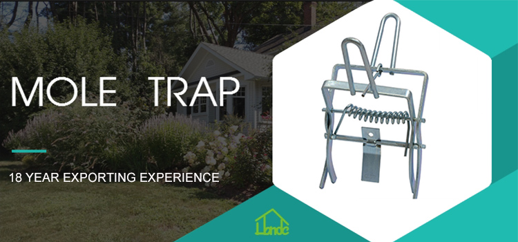 Quick Kill Gopher Mole Rodent Claw Scissor Traps Easy to Set Galvanized Metal Mole Trap Pest Control Trap