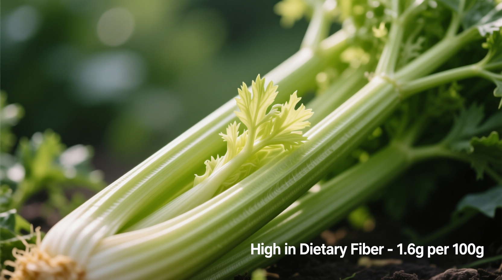 celery dietary fiber