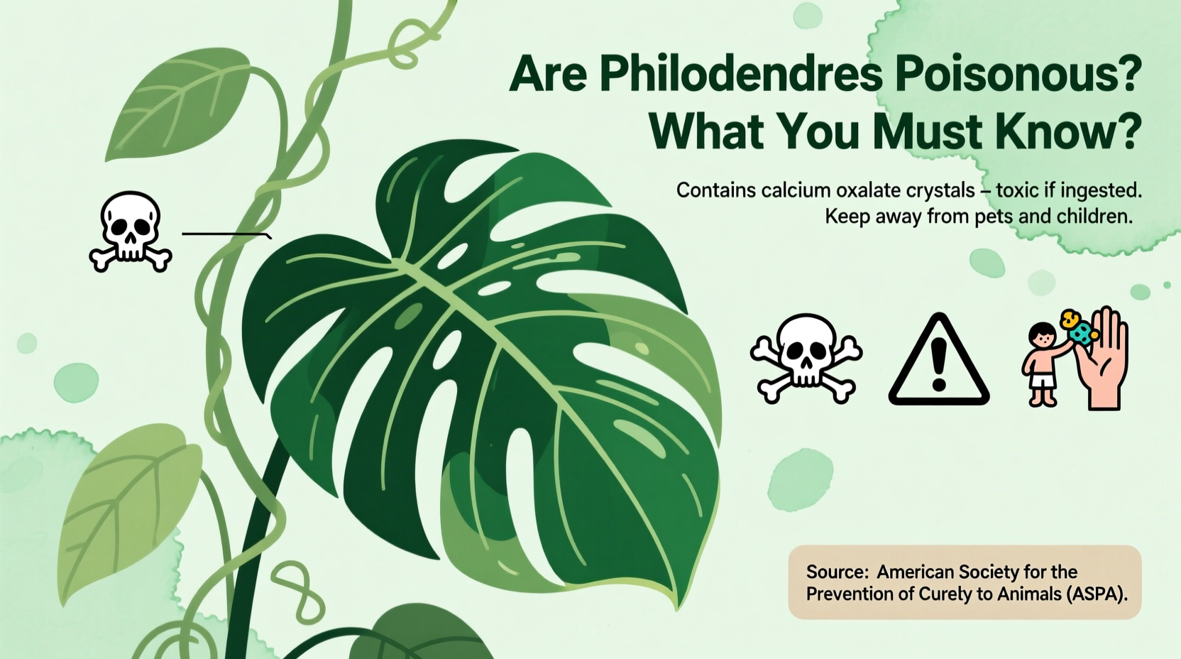 are philodendrons poisonous