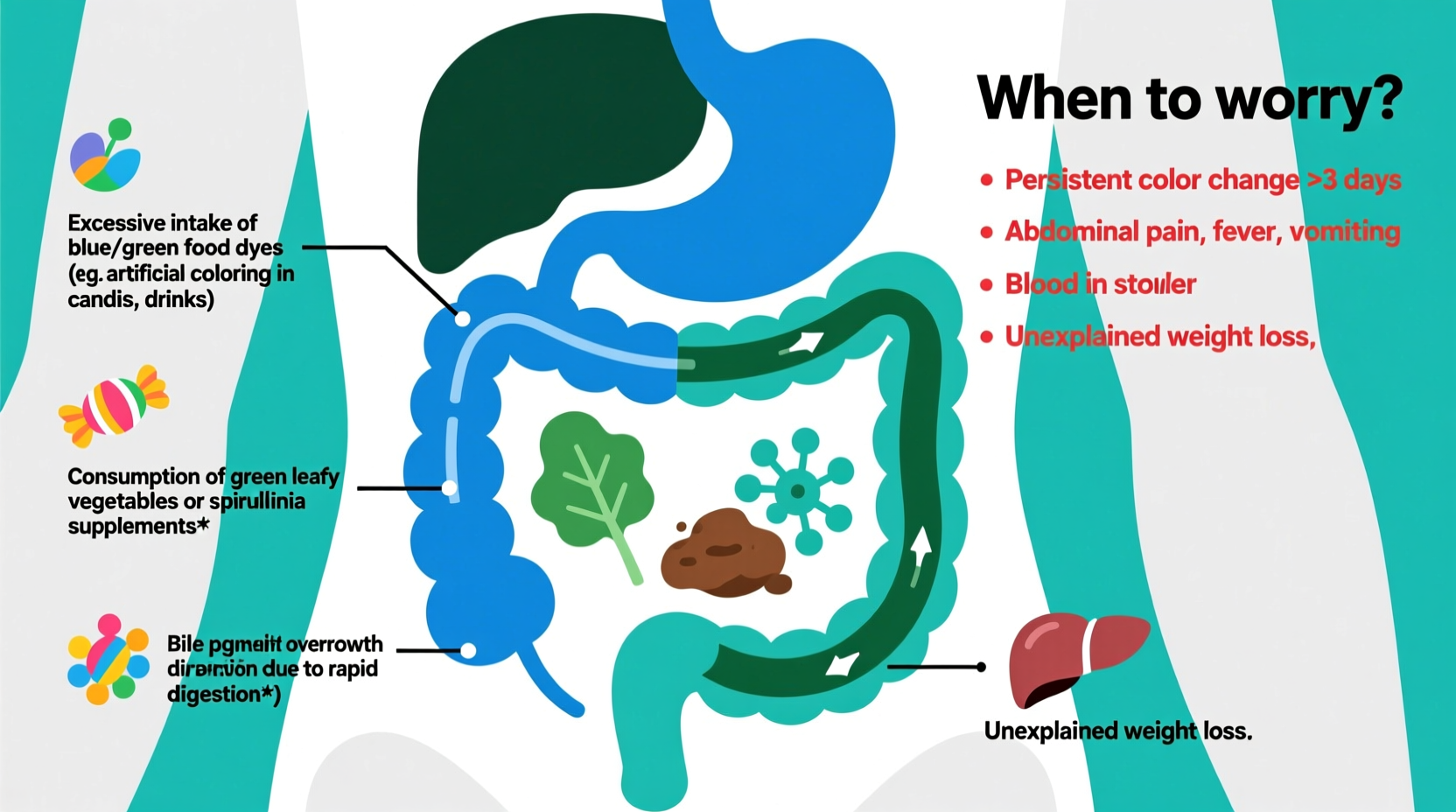 why is my poop blue green common causes when to worry