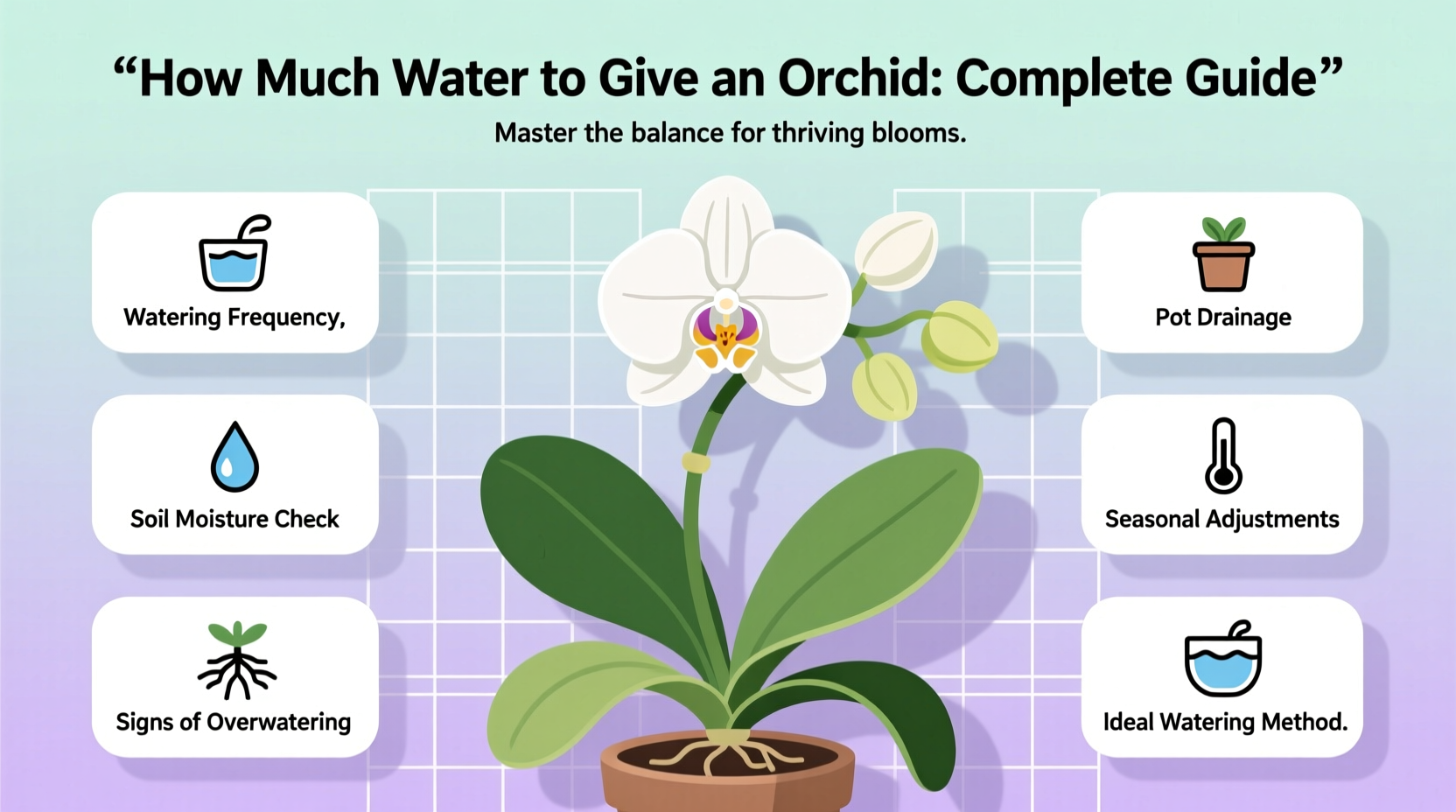 How Much Water to Give an Orchid: Complete Guide