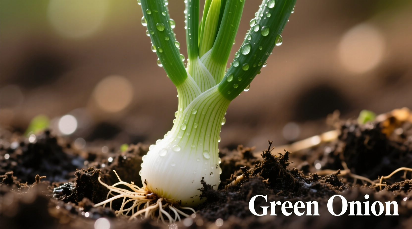 Green Onion Image: Visual Identification Guide for Cooks