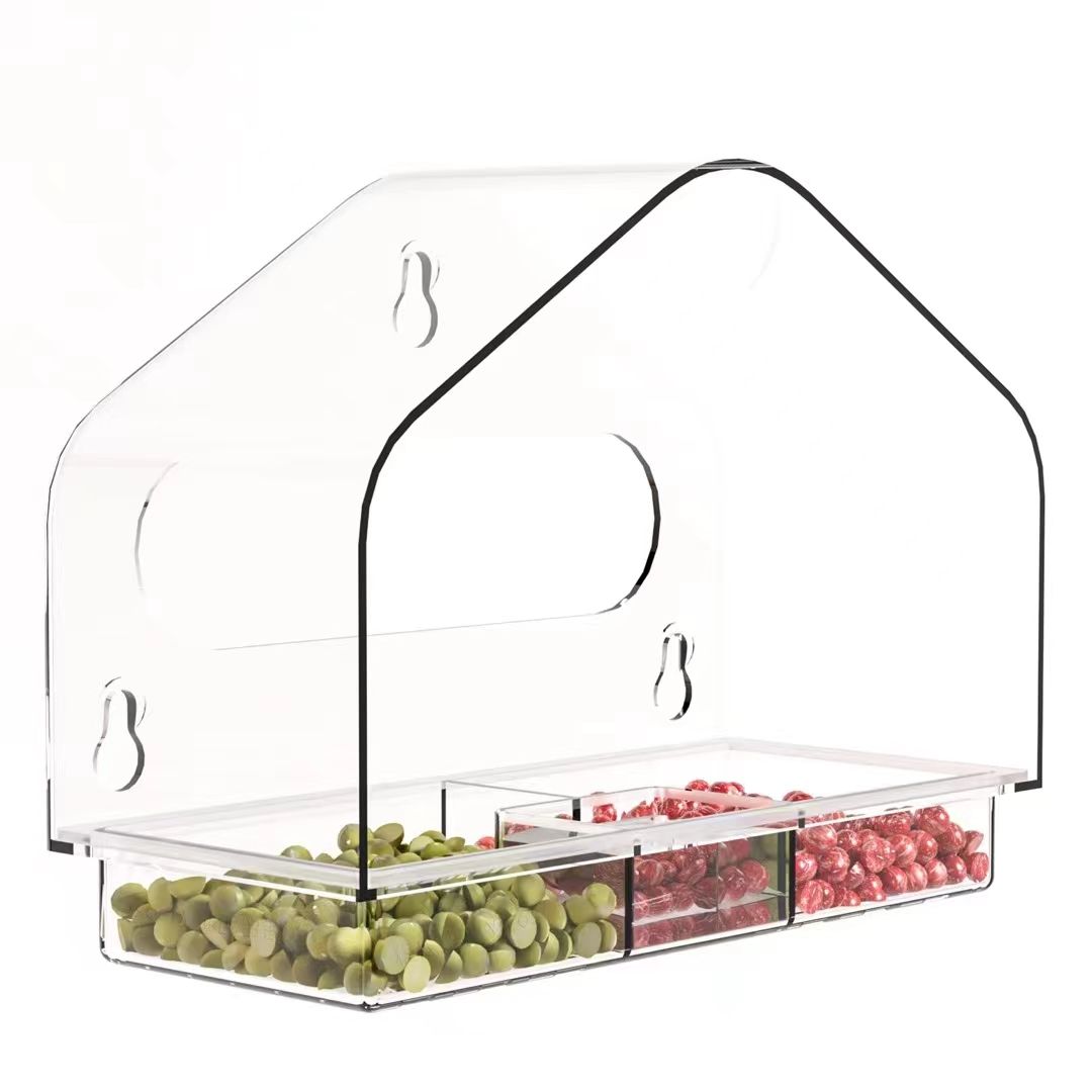 How to Draw a Bird Step by Step for Beginners